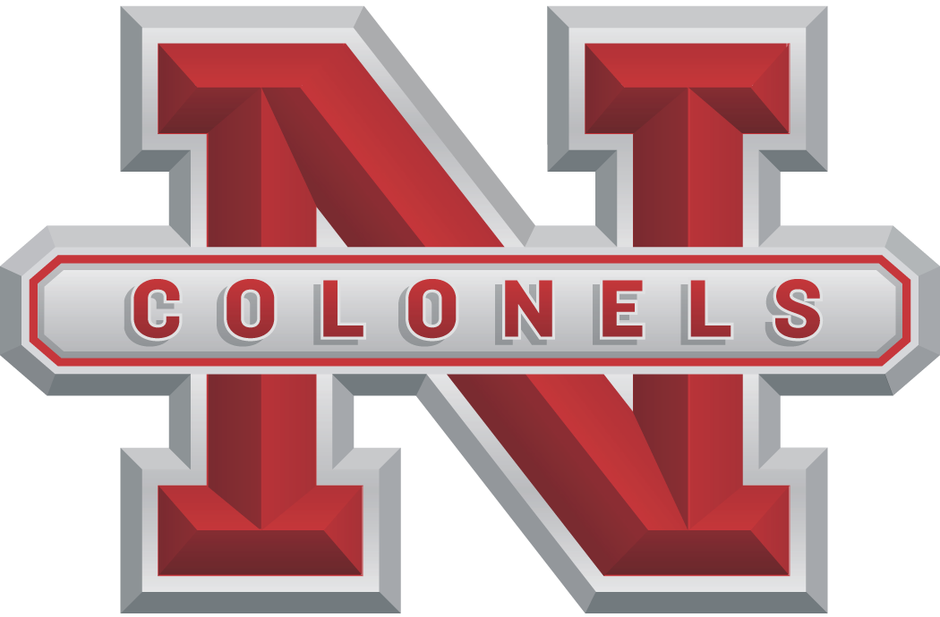 Nicholls State Colonels 2005-2008 Alternate Logo diy DTF decal sticker